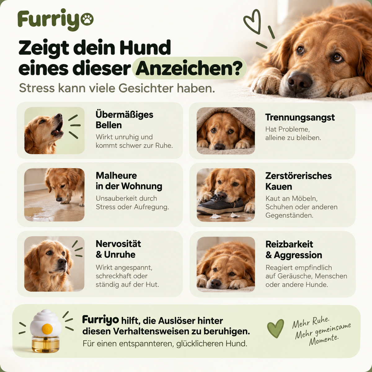 Furriyo · Beruhigender Diffusor für Hunde
